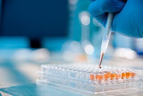 Imágen sobre prácticas en investigación